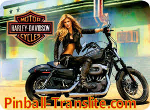 Harley Davidson Stern Alternative Replacement Translite